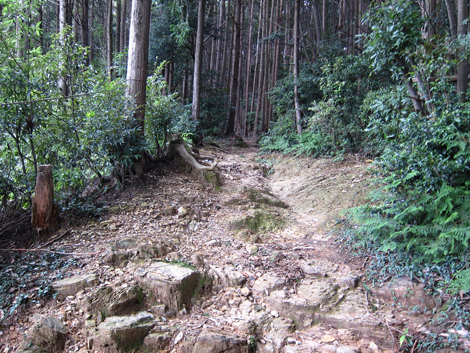20191017hike (33)